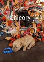 processed/0960501c-8153-4c83-878e-23017ae1dd30/listing/297e6556-4f75-437f-a79f-81729b2a9bd3/706e90d6-2af2-46f0-abfd-00f72dac9ed8