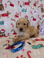 processed/0960501c-8153-4c83-878e-23017ae1dd30/listing/297e6556-4f75-437f-a79f-81729b2a9bd3/74c4a861-689c-4ee1-a3cc-6e13147ea35d