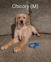 processed/0960501c-8153-4c83-878e-23017ae1dd30/listing/297e6556-4f75-437f-a79f-81729b2a9bd3/7daed703-56c5-46b8-a557-2238ed0912eb