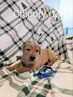 processed/0960501c-8153-4c83-878e-23017ae1dd30/listing/297e6556-4f75-437f-a79f-81729b2a9bd3/8839e4db-75e0-4a50-8c9e-cbe7e30061d2