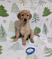 processed/0960501c-8153-4c83-878e-23017ae1dd30/listing/297e6556-4f75-437f-a79f-81729b2a9bd3/c99c0a35-59f4-4953-996f-24d976bfecd4