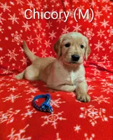 processed/0960501c-8153-4c83-878e-23017ae1dd30/listing/297e6556-4f75-437f-a79f-81729b2a9bd3/d35fbd82-c0ca-4d5b-ac1b-08c8d1970748