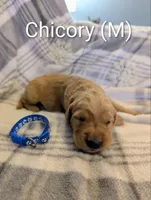 processed/0960501c-8153-4c83-878e-23017ae1dd30/listing/297e6556-4f75-437f-a79f-81729b2a9bd3/eb95475a-2293-460b-aa4e-0722cf5fb727