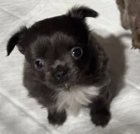 processed/0962ed31-d27e-4f02-8692-490964a0b404/listing/acc824b4-1af8-487d-889e-1af872cc97d5/1de9b714-c862-4b9d-ab5d-2debaf7af410