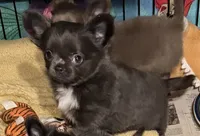 processed/0962ed31-d27e-4f02-8692-490964a0b404/listing/acc824b4-1af8-487d-889e-1af872cc97d5/5d05c16e-3cf5-46c3-8345-97e5495ba9a0