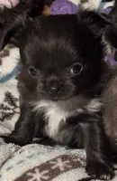 processed/0962ed31-d27e-4f02-8692-490964a0b404/listing/acc824b4-1af8-487d-889e-1af872cc97d5/de6b5662-aee9-4f15-9117-41198e31a29e