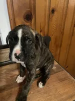 processed/0969f065-0f9a-4838-b04f-1fca2e03ac01/listing/0d0b6977-b062-4186-836e-ff8c0d436ce7/1df4f431-6a87-4d04-8da2-42628ac1158e