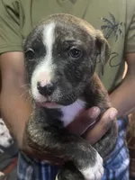 processed/0969f065-0f9a-4838-b04f-1fca2e03ac01/listing/0d0b6977-b062-4186-836e-ff8c0d436ce7/686d5912-e8f3-4ed6-af99-d9da3b97ccde