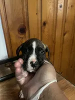 processed/0969f065-0f9a-4838-b04f-1fca2e03ac01/listing/0d0b6977-b062-4186-836e-ff8c0d436ce7/a5d44b0c-8460-443b-9239-4140e42e10d3