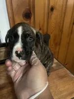 processed/0969f065-0f9a-4838-b04f-1fca2e03ac01/listing/0d0b6977-b062-4186-836e-ff8c0d436ce7/b0559c69-562c-4fbb-a709-07288bea0ef0