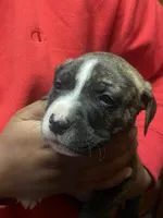 processed/0969f065-0f9a-4838-b04f-1fca2e03ac01/listing/0d0b6977-b062-4186-836e-ff8c0d436ce7/ed1f5814-246a-4611-b855-2a334007b8cc