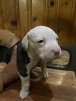 processed/0969f065-0f9a-4838-b04f-1fca2e03ac01/listing/c24cc33f-aa2f-487d-b2bc-3043083b3562/c02ec257-11e5-4d3e-8435-39bbce155dd2