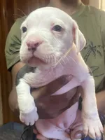 processed/0969f065-0f9a-4838-b04f-1fca2e03ac01/listing/c24cc33f-aa2f-487d-b2bc-3043083b3562/c35b63d5-97e9-453a-b5b7-5275a7509e2f