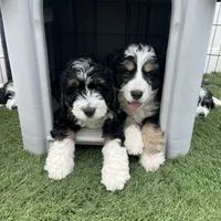 processed/096adfe3-004f-45fb-8d3a-973a97f20c9a/facility/1a4d922b-0cfe-49b9-8f14-97bec0724925