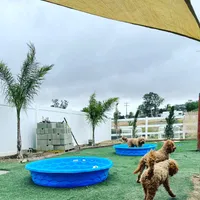 processed/096adfe3-004f-45fb-8d3a-973a97f20c9a/facility/3ede3397-f85a-4bb3-a692-2cc655ab845e