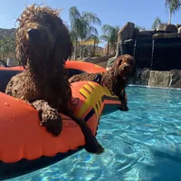 processed/096adfe3-004f-45fb-8d3a-973a97f20c9a/facility/464dd22b-a9f9-4721-a7fe-c012b662389f