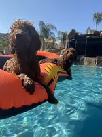 processed/096adfe3-004f-45fb-8d3a-973a97f20c9a/facility/464dd22b-a9f9-4721-a7fe-c012b662389f