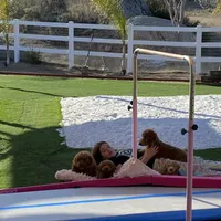 processed/096adfe3-004f-45fb-8d3a-973a97f20c9a/facility/6a8a42a2-8c6f-43e2-91c7-2f192ae5bb32