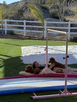 processed/096adfe3-004f-45fb-8d3a-973a97f20c9a/facility/6a8a42a2-8c6f-43e2-91c7-2f192ae5bb32