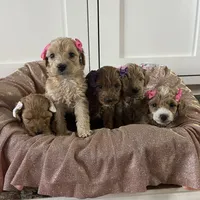 processed/096adfe3-004f-45fb-8d3a-973a97f20c9a/facility/c29b116f-d27e-4f3a-ba3d-accd079a5746