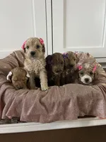 processed/096adfe3-004f-45fb-8d3a-973a97f20c9a/facility/c29b116f-d27e-4f3a-ba3d-accd079a5746