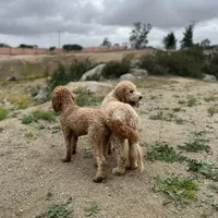 processed/096adfe3-004f-45fb-8d3a-973a97f20c9a/facility/d06b8d71-799e-46ec-9fd0-8d9083ba4d74