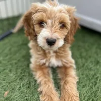 processed/096adfe3-004f-45fb-8d3a-973a97f20c9a/facility/da8fc006-d304-4917-abf7-595708595abf