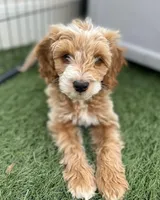 processed/096adfe3-004f-45fb-8d3a-973a97f20c9a/facility/da8fc006-d304-4917-abf7-595708595abf