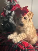 processed/096adfe3-004f-45fb-8d3a-973a97f20c9a/listing/042a817d-f42f-4b15-93ee-56297e4cd030/1b7f744f-3f48-4a6d-a996-ac7c55125cd2