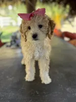 processed/096adfe3-004f-45fb-8d3a-973a97f20c9a/listing/042a817d-f42f-4b15-93ee-56297e4cd030/7dc13a23-b0bd-416b-a35a-154cd36be1a4