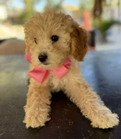 processed/096adfe3-004f-45fb-8d3a-973a97f20c9a/listing/042a817d-f42f-4b15-93ee-56297e4cd030/a4ce1cfb-84bd-4f84-851e-8f0baa7dedf6