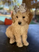 processed/096adfe3-004f-45fb-8d3a-973a97f20c9a/listing/042a817d-f42f-4b15-93ee-56297e4cd030/d612264e-6f05-4436-b3df-f4fdef0d51d8