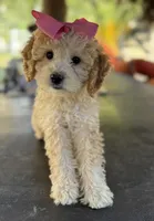 processed/096adfe3-004f-45fb-8d3a-973a97f20c9a/listing/042a817d-f42f-4b15-93ee-56297e4cd030/fff7cef5-d860-4e3e-b32e-e2f4cca880a8