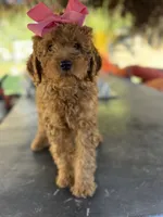 processed/096adfe3-004f-45fb-8d3a-973a97f20c9a/listing/3c5dda4e-56f6-4794-bca1-890dfdc44732/1ef5e8a8-537b-47e3-ba97-fb301a4f3217