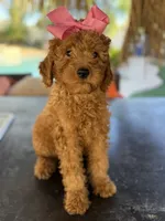 processed/096adfe3-004f-45fb-8d3a-973a97f20c9a/listing/3c5dda4e-56f6-4794-bca1-890dfdc44732/4d004f3c-06c1-4329-a4b0-d30faa0a99c3