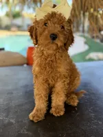 processed/096adfe3-004f-45fb-8d3a-973a97f20c9a/listing/3c5dda4e-56f6-4794-bca1-890dfdc44732/8927d978-7f4d-4e93-82e2-91dd98df42d6