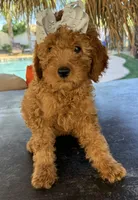 processed/096adfe3-004f-45fb-8d3a-973a97f20c9a/listing/3c5dda4e-56f6-4794-bca1-890dfdc44732/a72a6151-897e-4193-985e-c9937cb31292