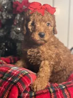 processed/096adfe3-004f-45fb-8d3a-973a97f20c9a/listing/3c5dda4e-56f6-4794-bca1-890dfdc44732/c9708576-da85-46ff-b7c6-0b734ea1bf01