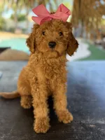 processed/096adfe3-004f-45fb-8d3a-973a97f20c9a/listing/3c5dda4e-56f6-4794-bca1-890dfdc44732/cb2fd1da-affd-472c-aada-0524442225f3