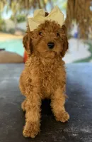 processed/096adfe3-004f-45fb-8d3a-973a97f20c9a/listing/3c5dda4e-56f6-4794-bca1-890dfdc44732/d5b24e1b-955d-42e9-b334-457c1f62395f