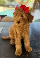 processed/096adfe3-004f-45fb-8d3a-973a97f20c9a/listing/3c5dda4e-56f6-4794-bca1-890dfdc44732/e5576684-ca1d-4164-8c8b-9d26cc9081dd