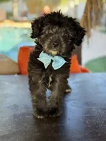 processed/096adfe3-004f-45fb-8d3a-973a97f20c9a/listing/db477bc6-1814-4dd2-9ed0-f44385600307/03875acf-67b9-4191-8d7d-5eb5e3ebe846