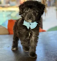 processed/096adfe3-004f-45fb-8d3a-973a97f20c9a/listing/db477bc6-1814-4dd2-9ed0-f44385600307/12cb04d0-3861-44a3-97ce-f6217ad36be6