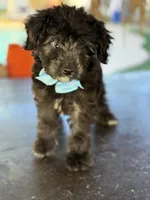 processed/096adfe3-004f-45fb-8d3a-973a97f20c9a/listing/db477bc6-1814-4dd2-9ed0-f44385600307/49ba50f4-5077-4e9a-b778-67d09938e486