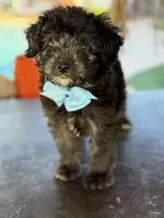 processed/096adfe3-004f-45fb-8d3a-973a97f20c9a/listing/db477bc6-1814-4dd2-9ed0-f44385600307/af670bc1-ac93-4dc4-88f4-eb5faa4a2488