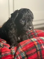 processed/096adfe3-004f-45fb-8d3a-973a97f20c9a/listing/db477bc6-1814-4dd2-9ed0-f44385600307/eecef3f2-62d3-43b0-8504-72cb84c3b03a