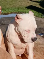 processed/096faa1c-f849-40c9-85d7-ca66ac1cbf9e/listing/c871014d-21c9-4c2c-9c0d-8c42c6f14076/1827d449-e974-4818-8d60-55fd2bb022f3