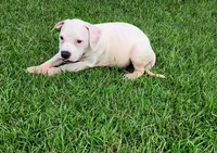 processed/096faa1c-f849-40c9-85d7-ca66ac1cbf9e/listing/c871014d-21c9-4c2c-9c0d-8c42c6f14076/215c312e-e669-4d72-9942-f32a40c29b78