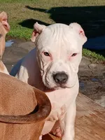 processed/096faa1c-f849-40c9-85d7-ca66ac1cbf9e/listing/c871014d-21c9-4c2c-9c0d-8c42c6f14076/fa7297b7-eadf-4e7a-a44b-1e5f9daf4ddb