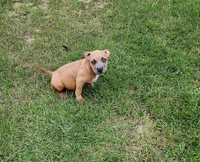 processed/096faa1c-f849-40c9-85d7-ca66ac1cbf9e/listing/ee4db072-3e1a-4806-9dbe-f16fe2b0d08c/004bf9c0-3259-44e4-8a3c-a0a06ca96c7f